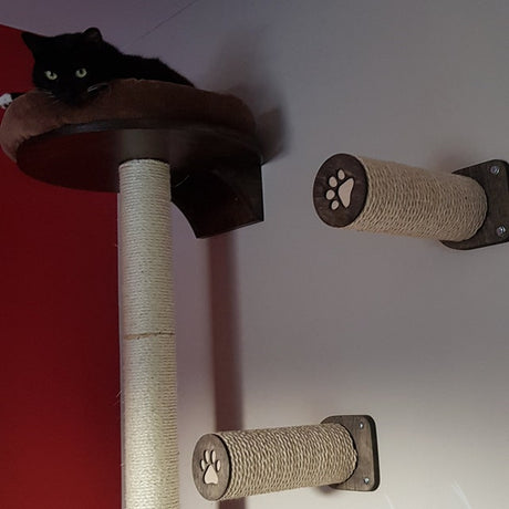 sisal steps for cat