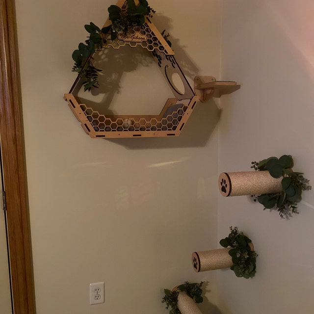 cat wall wurniture in the room
