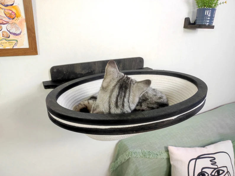 Cat lying on a wall-mounted pet bed in a cozy room.