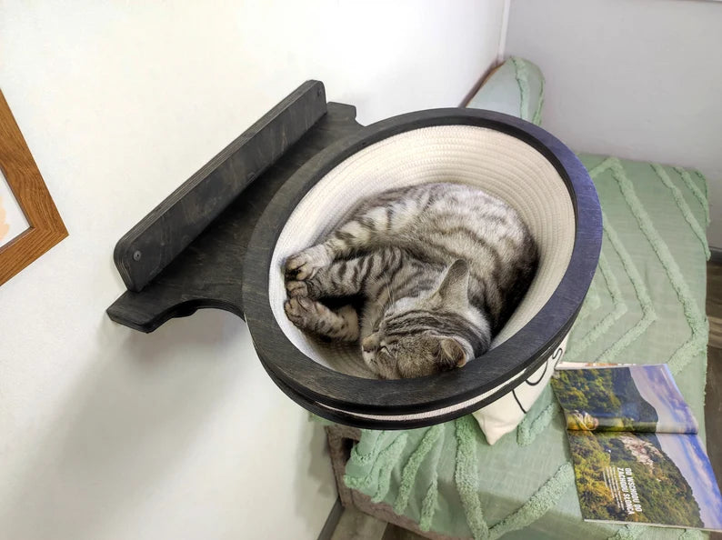 Cat sleeping inside a elevated cat bed.