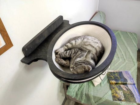 Cat sleeping inside a elevated cat bed.
