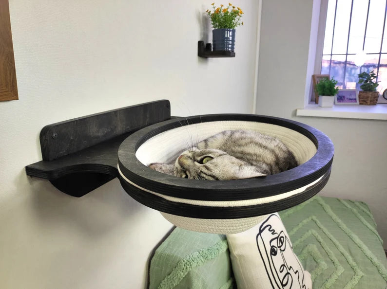 Cat lounging on a wall-mounted pet bed in a home setting with plants and a window.