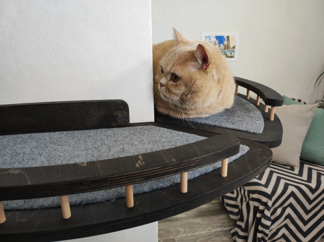 External Corner Cat Wall Shelf