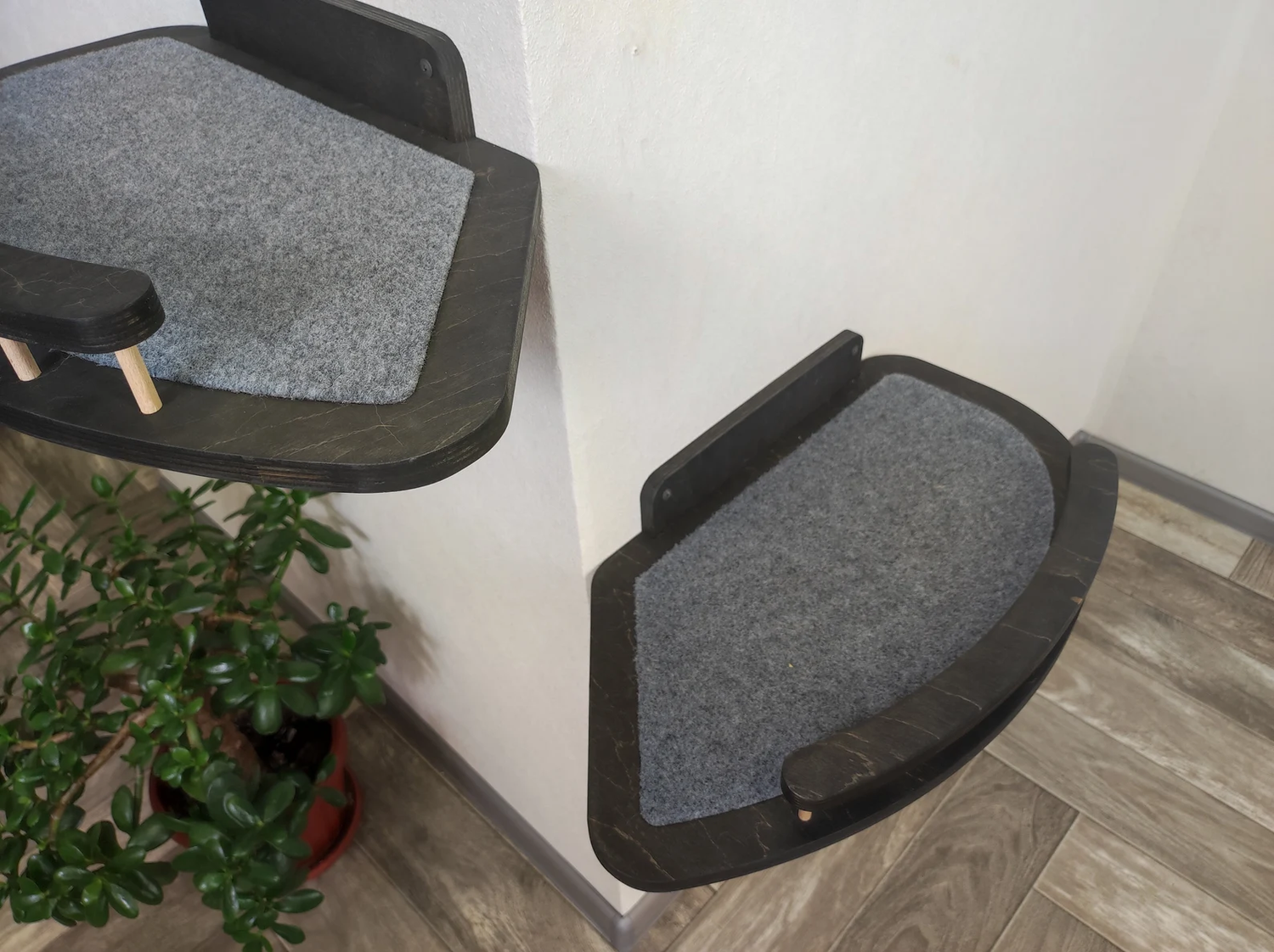 corner cat shelves of dark wood