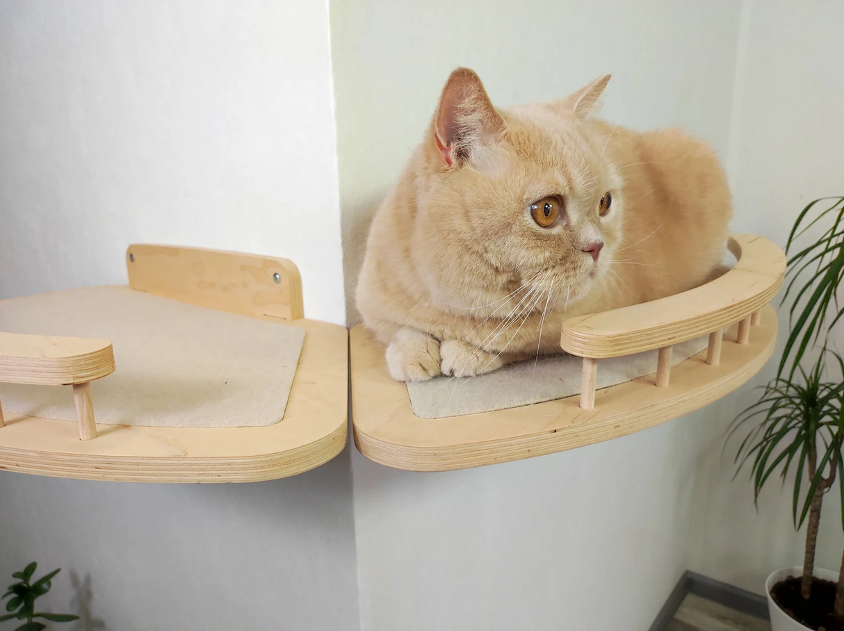 wall bed for cat on the corner