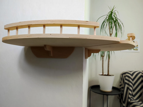 light cat bed with side