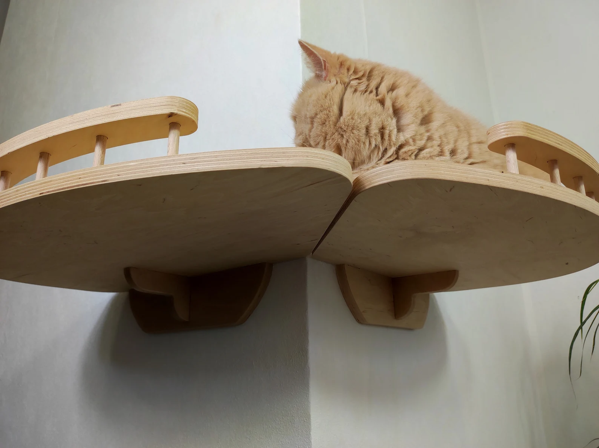 sturdy cat shelf design