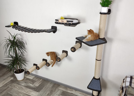 Wall-Mounted Cat Climbing Set - dark color