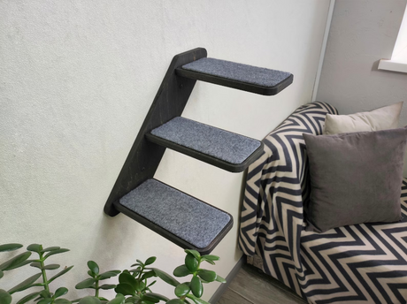 dark cat wall ladder in the home