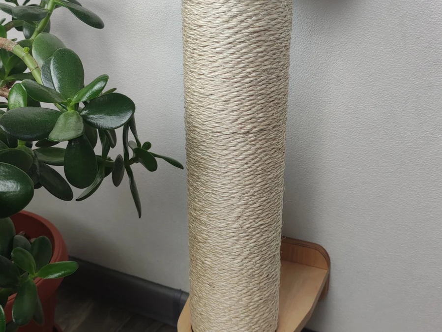 cat scratching posts