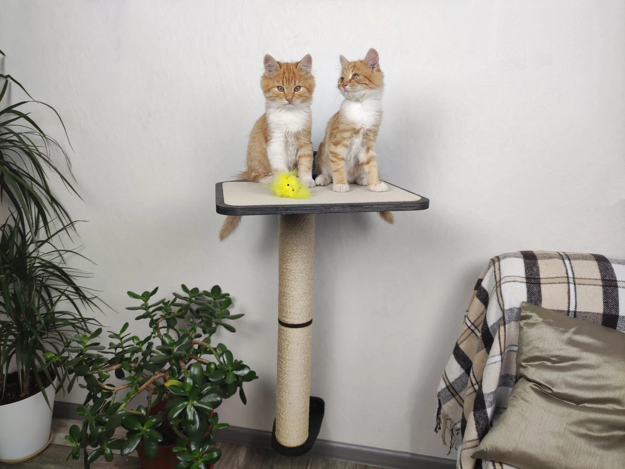 Wall Mounted Cat Scratching Post Made of Sisal and a Large Shelf on Top
