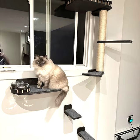 floating shelves for cats