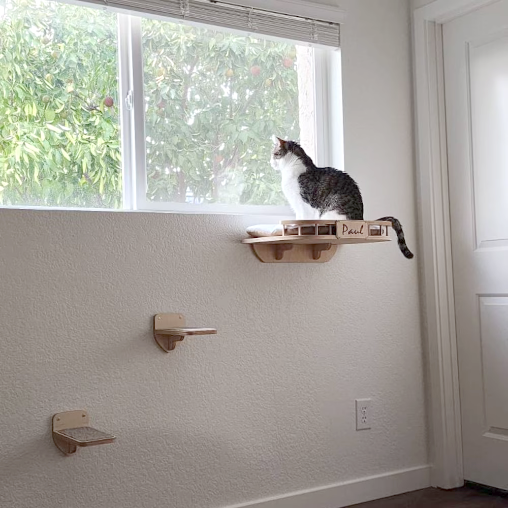Wall-mounted cat bed for large breeds