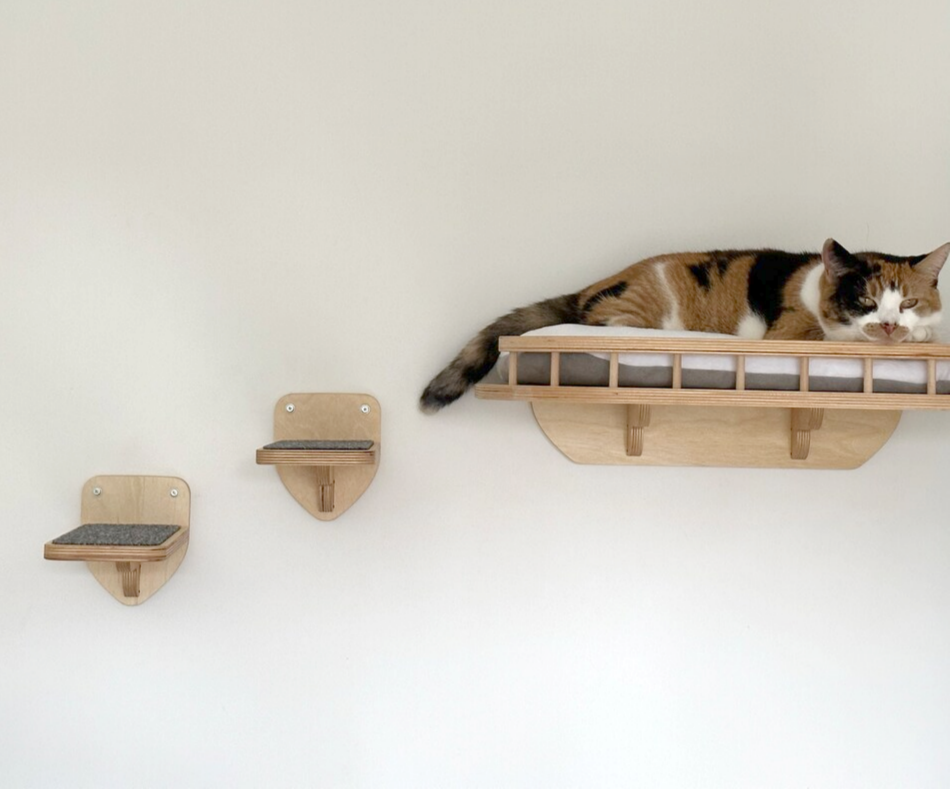 Wall mounted bed with soft cushion and 2 steps for cat comfort