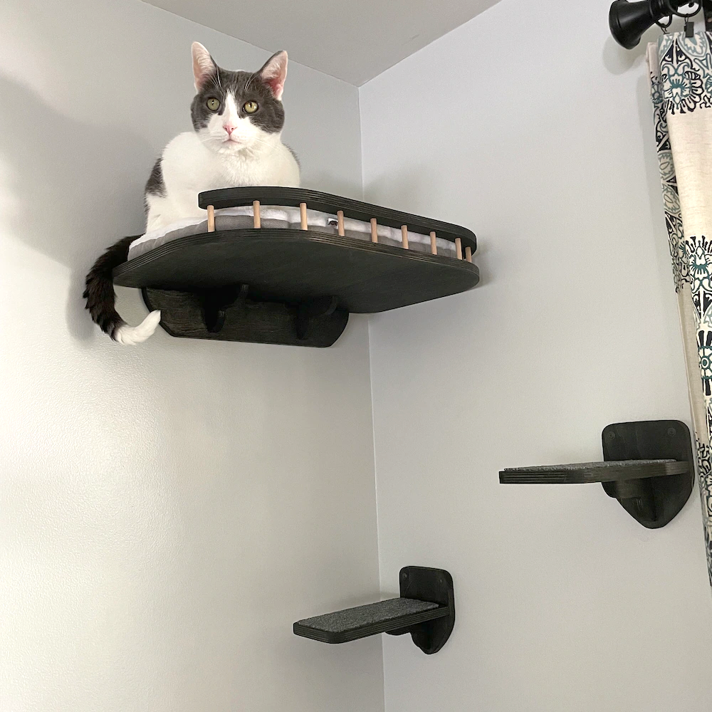 Dark wall-mounted cat lounger with cushion and two steps