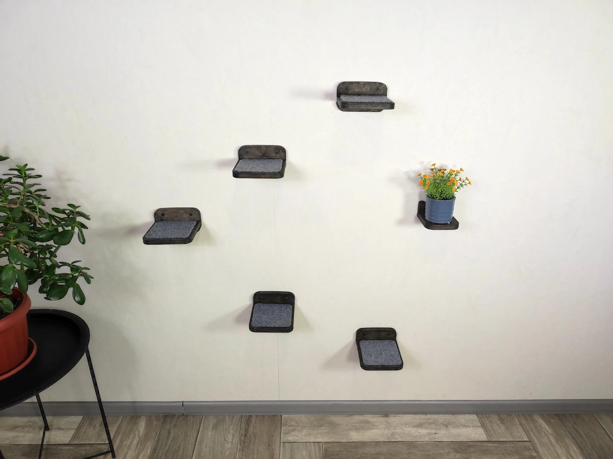 dark wall steps for cat