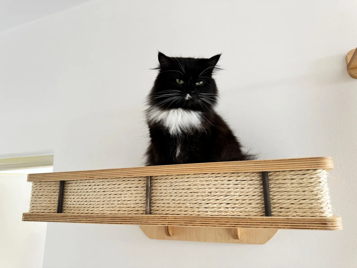 Modern Wall Shelf with Cushion for Large Cats