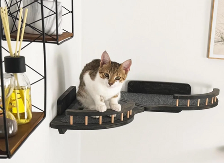 Corner Wall Cat Shelves