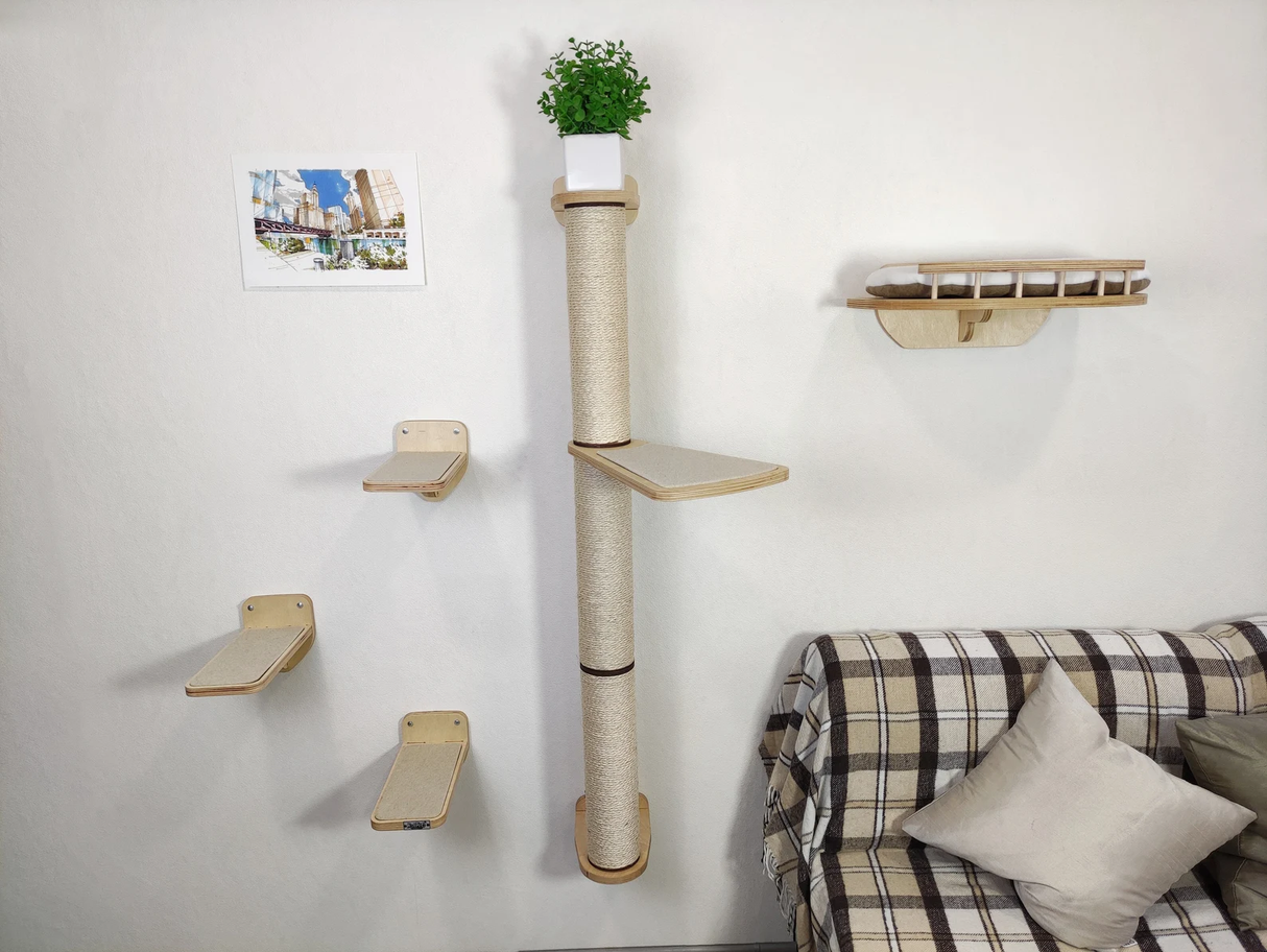 Wall mounted furniture set for a cat - bed, steps, scratching post