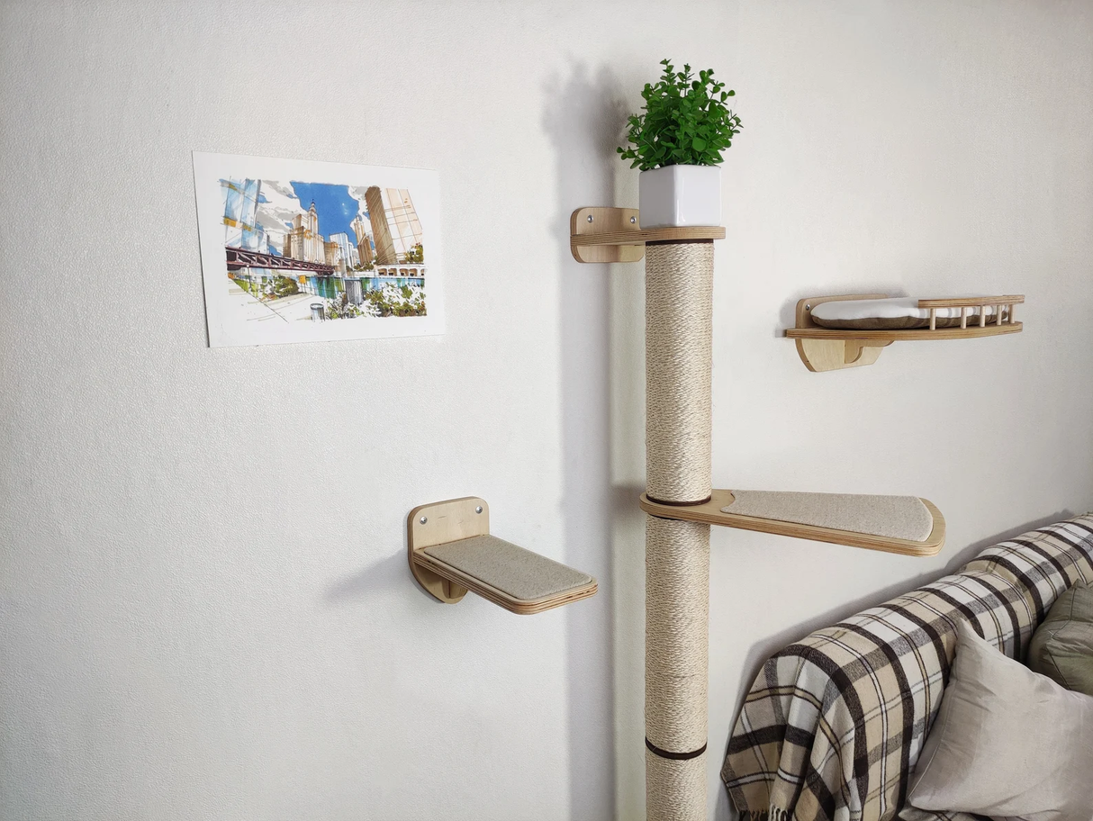 Cat scratching post and cat rest shelf and step
