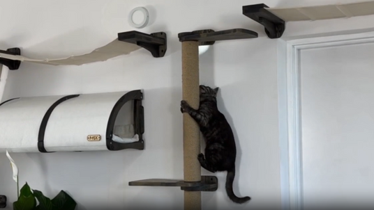 cat wall scratching post