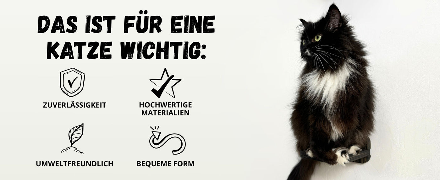 katzenbretter für die wand