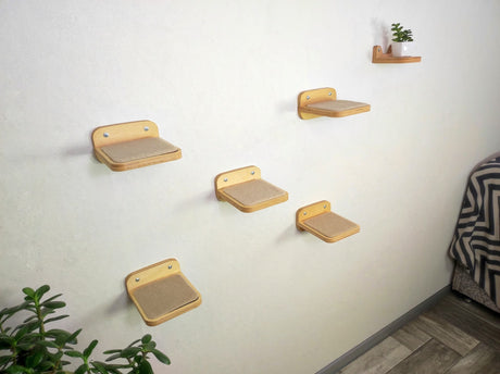 Five steps on the wall in the room