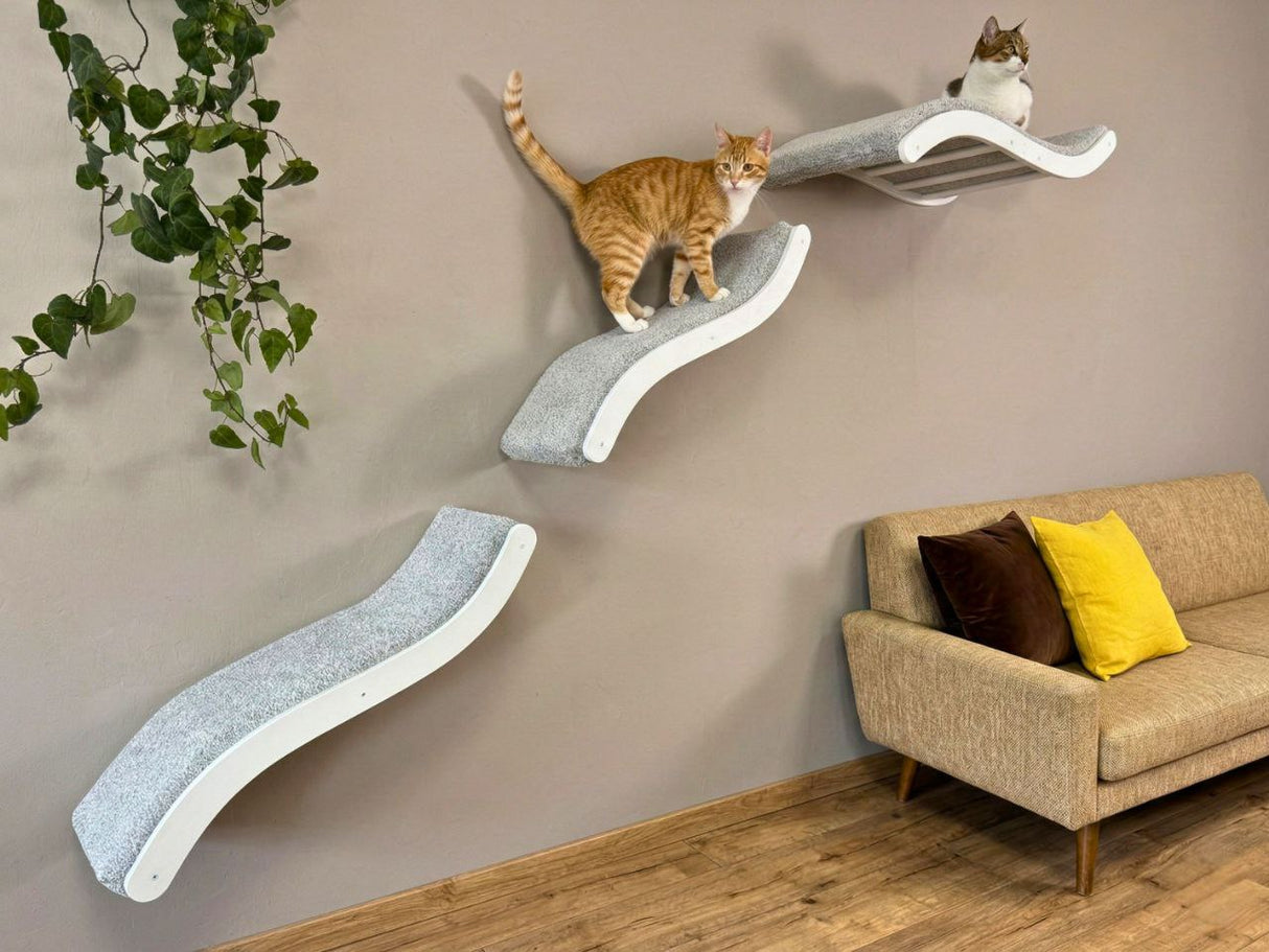 Wall-mounted cat shelves with cats on a neutral-colored wall next to a sofa.