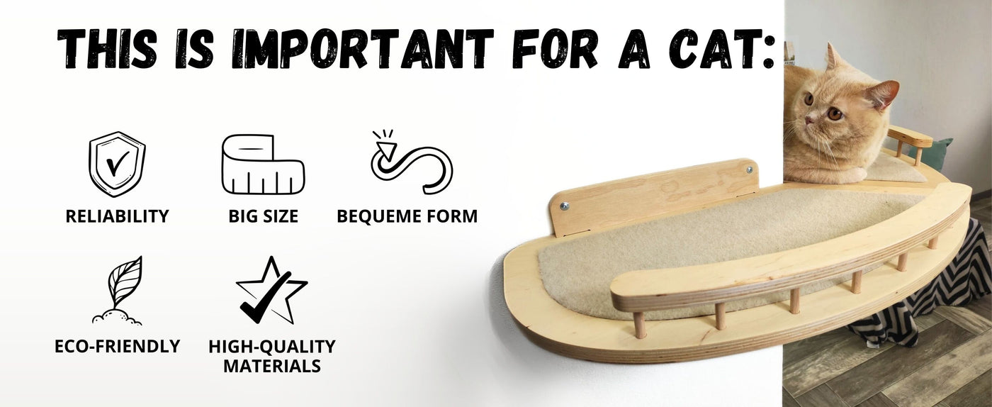 Cat shelf with text highlighting features and a cat sitting on it.