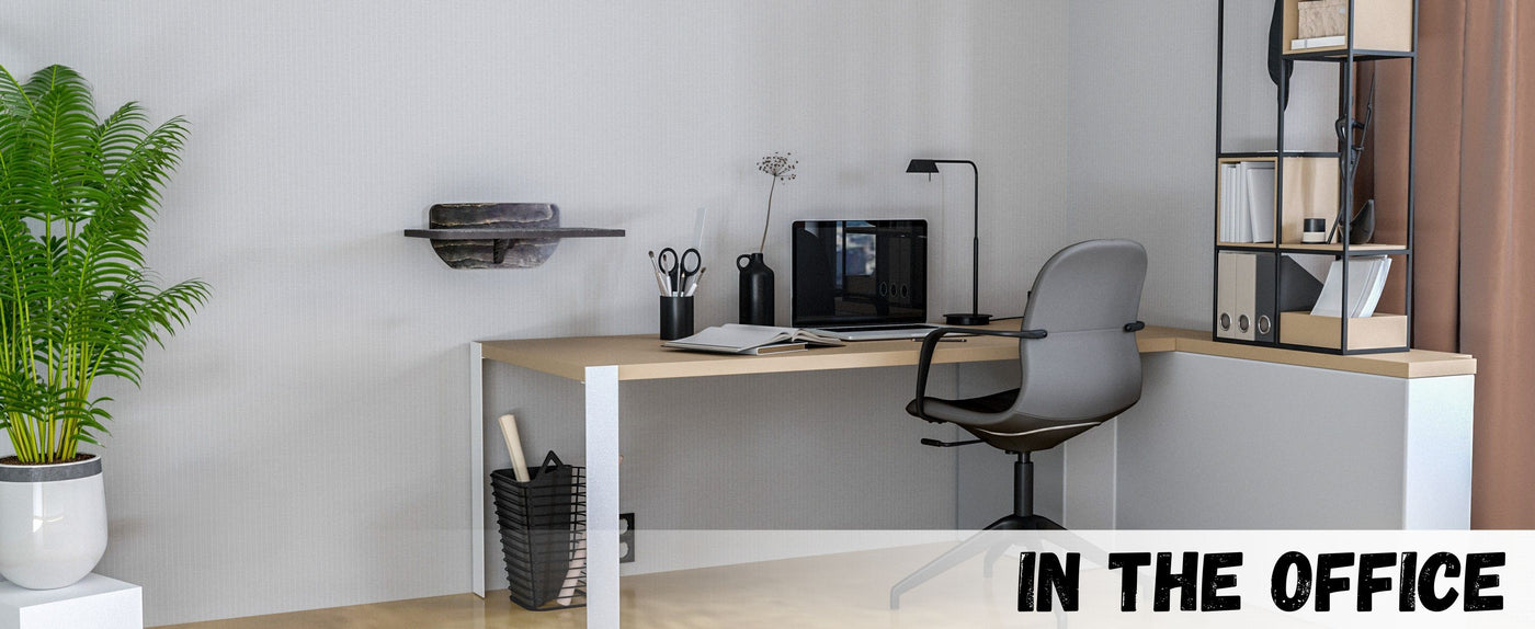 Modern office desk with chair, computer, and cat wall perch against a white wall.