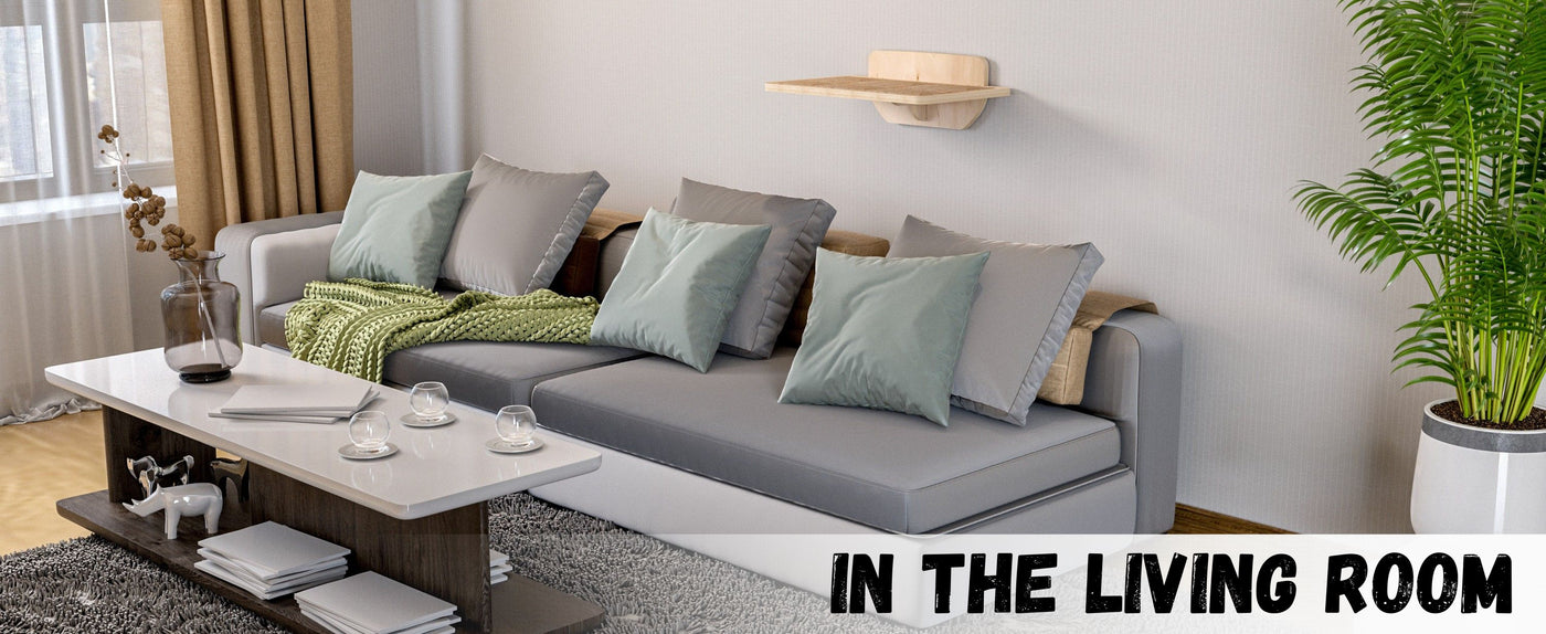 Modern living room with a gray sofa, coffee table, and cat wall furniture.