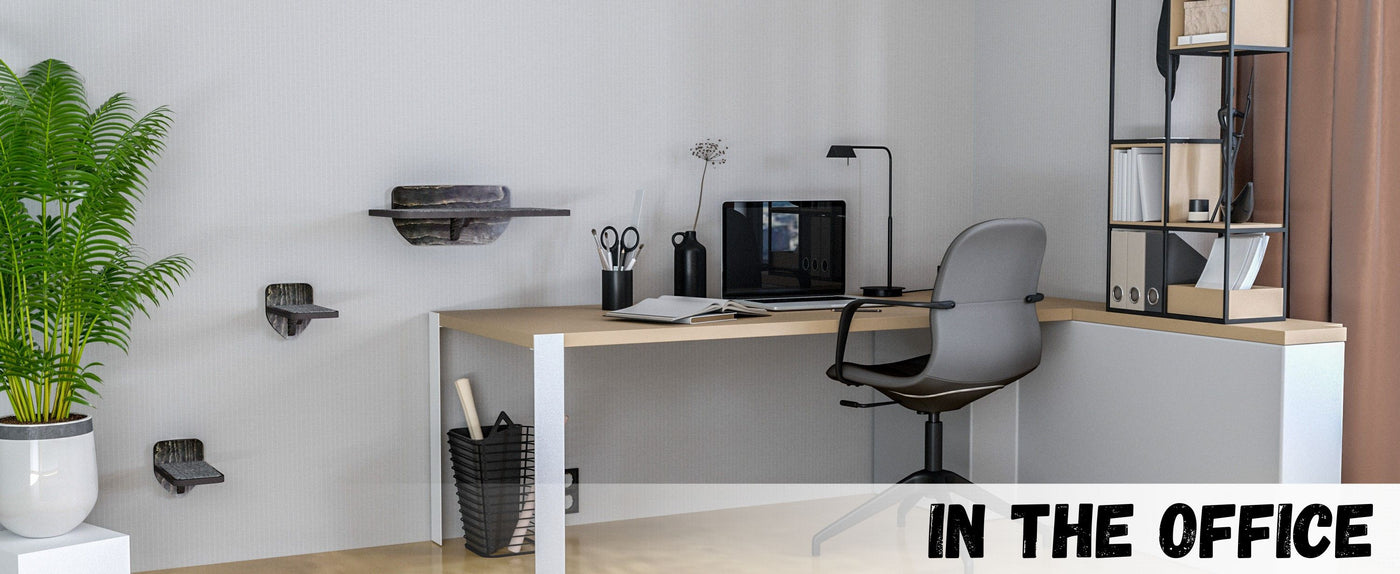 Modern office setup with a desk, chair, and cat shelves.