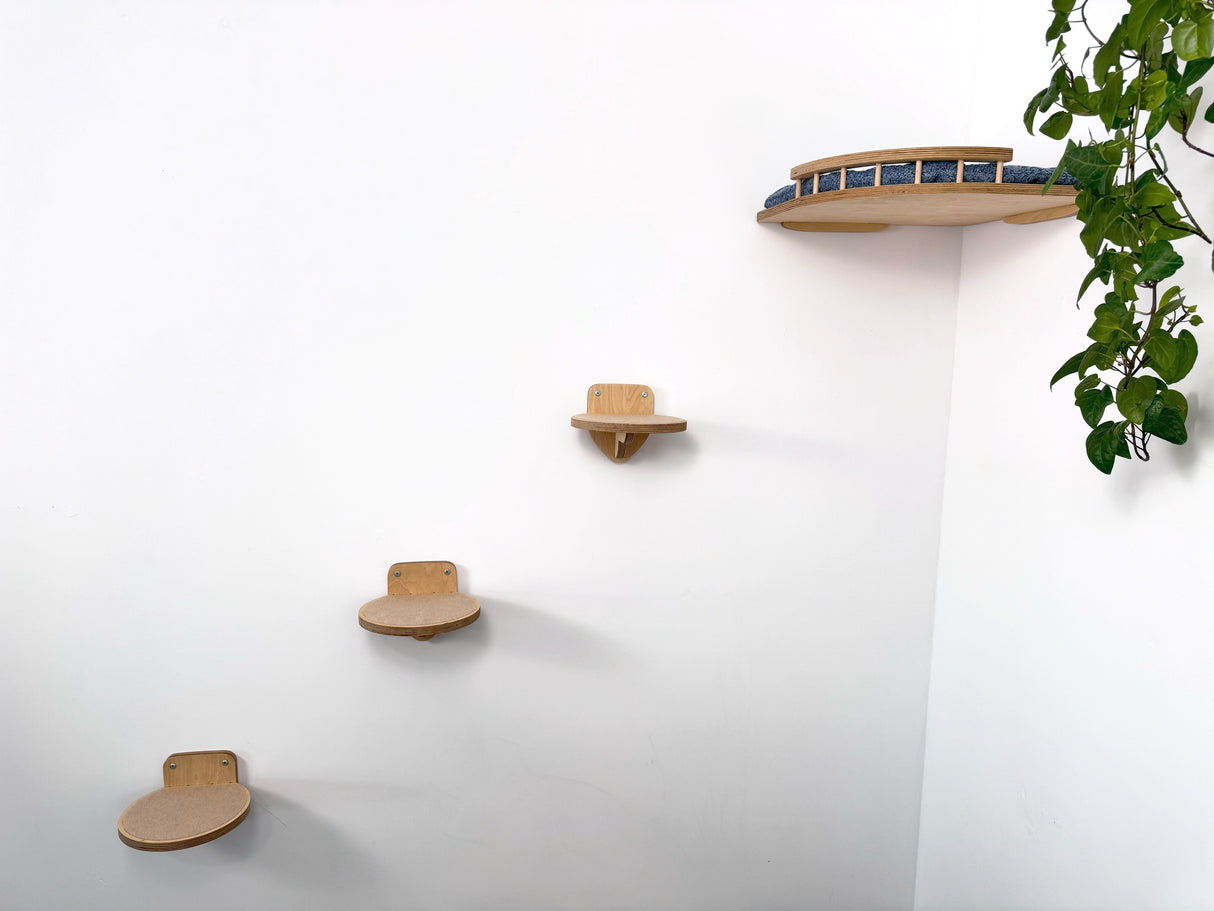 cat climbing shelves