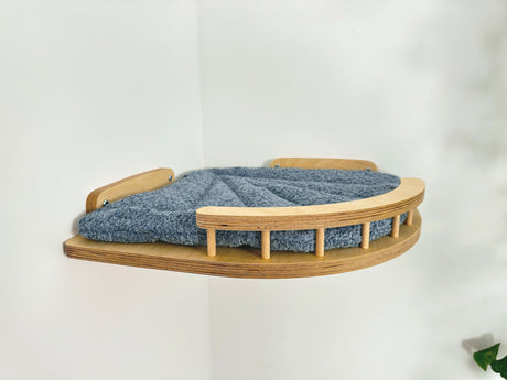 cat climbing wall shelves