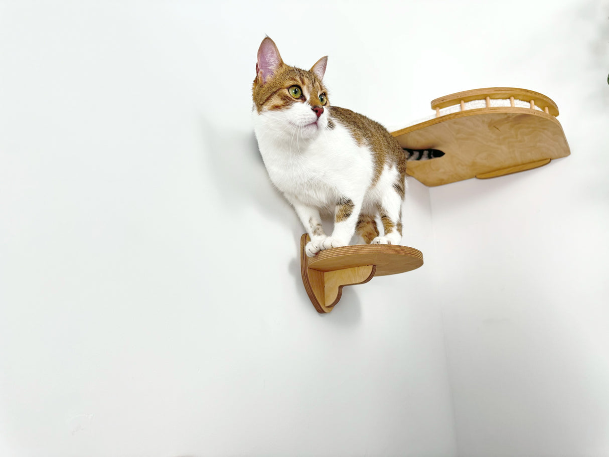 shelves for cats