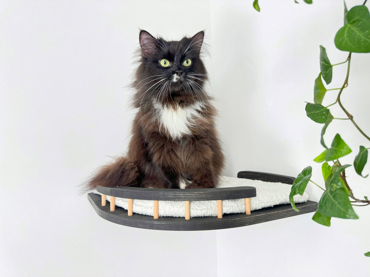 cat shelves for large cats