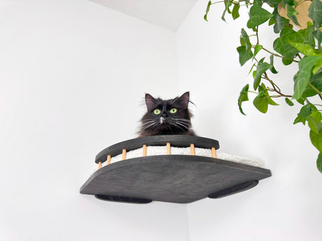 cat wall mounted shelves