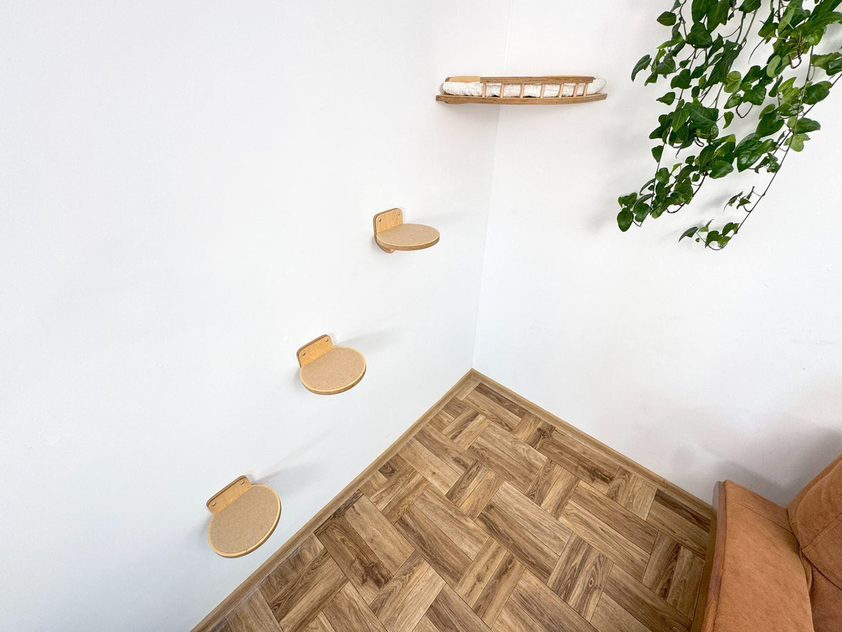 cat shelves on walls