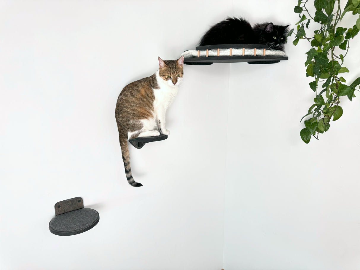 wall mounted cat furniture