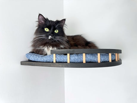 cats wall shelves