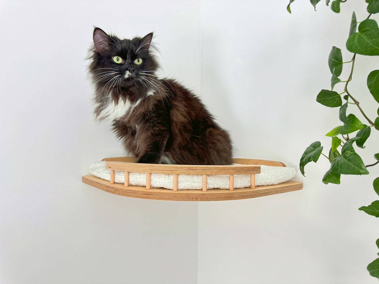 Complete Wall-Mounted Cat Furniture Set with Corner Bed, Wave Shelves & Window Perch