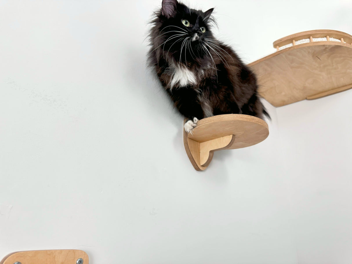 shelves for cats to climb