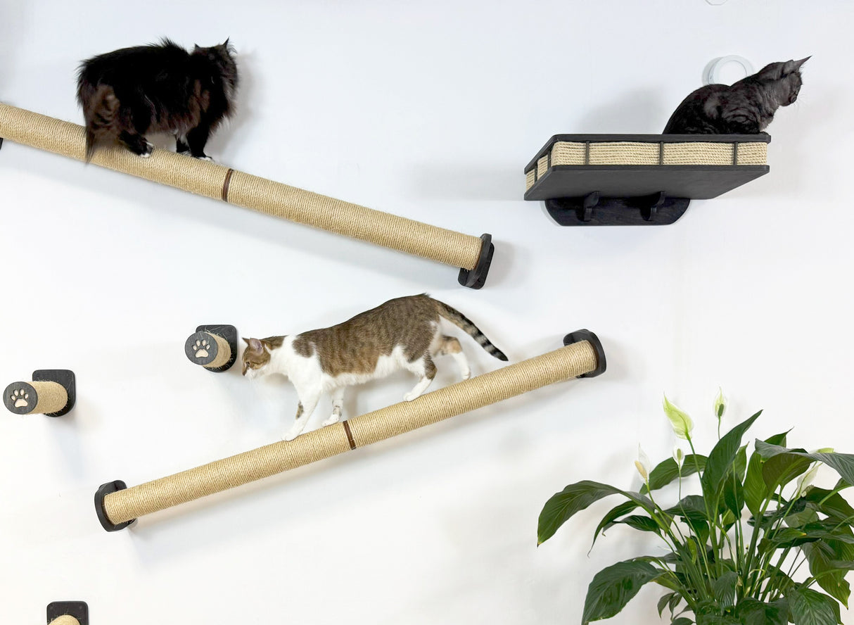 Modern cat shelf and climbing system for walls. Includes long sisal-wrapped posts, a beige cushioned bed, and compact round steps. Holds up to 15 kg.