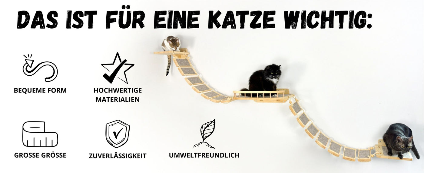 kletterwand für katzen