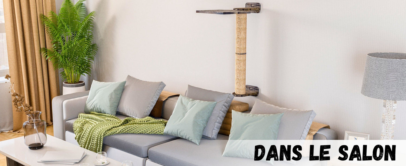 ensemble de murs d'escalade pour chats