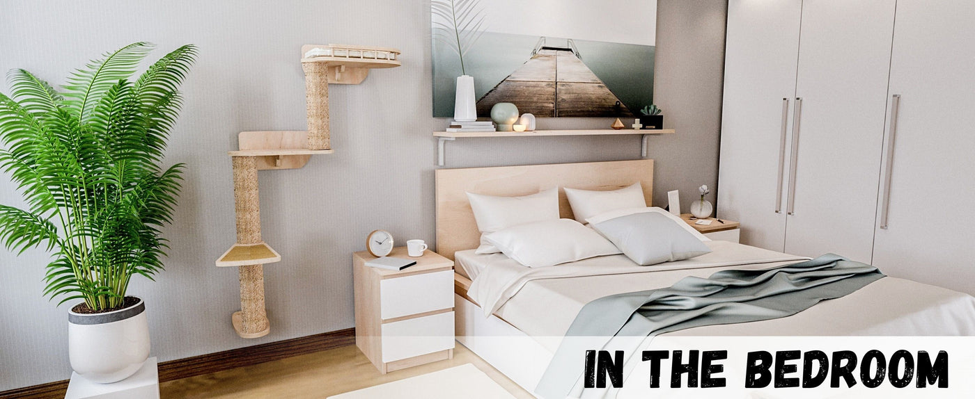 Modern bedroom with bed, nightstands, and a plant.