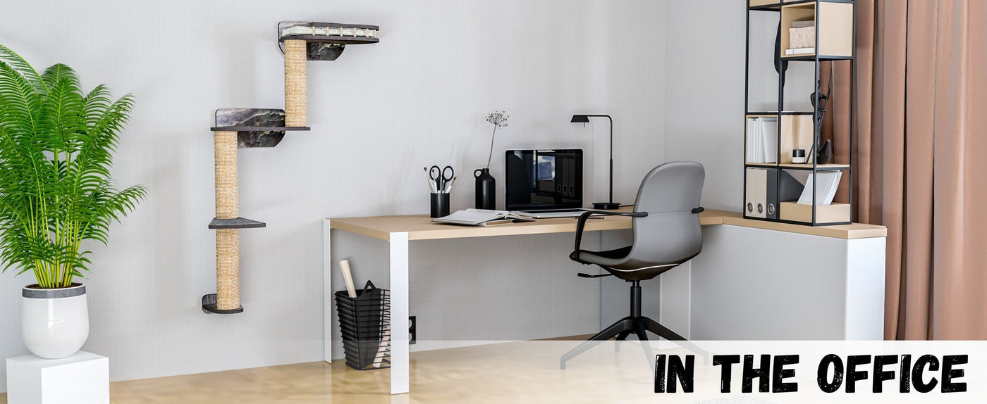 Modern office setup with a desk, chair, and shelves.