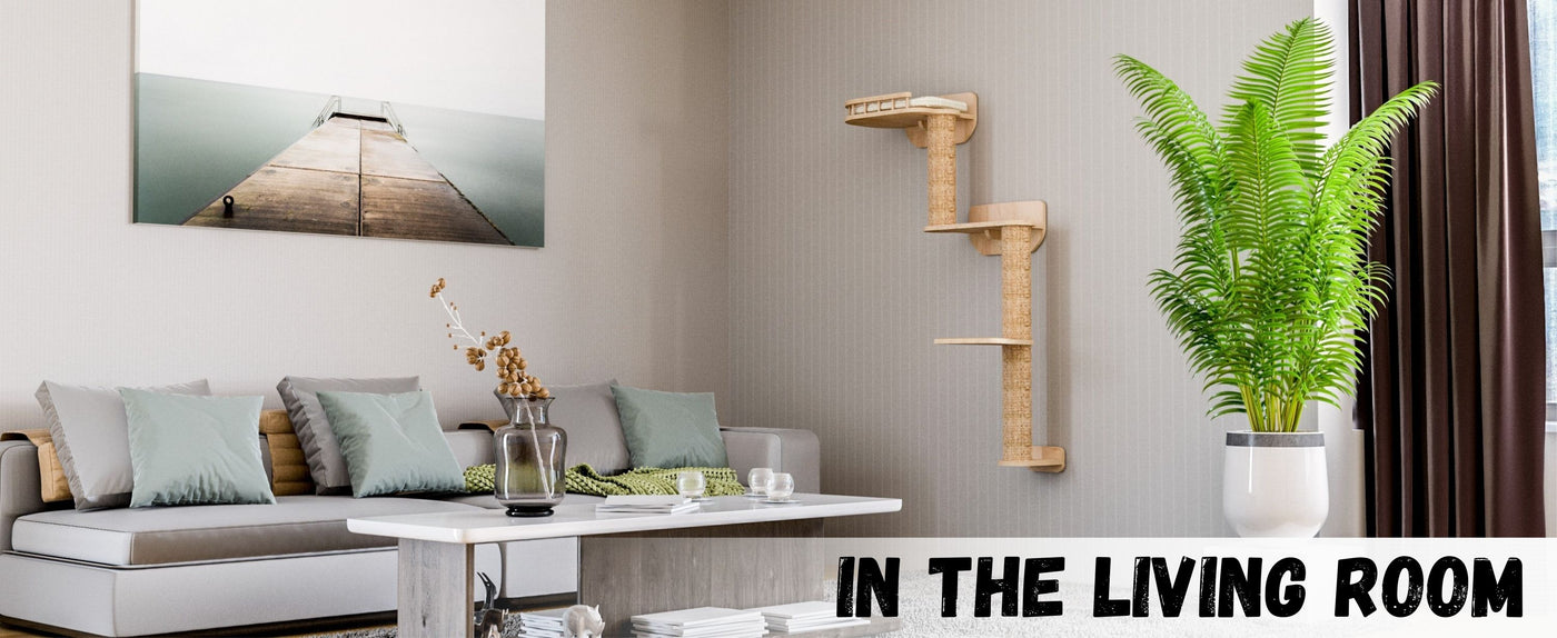 Living room with a sofa, coffee table, and wall-mounted cat tree.