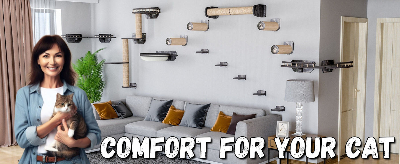 Woman holding a cat in a living room with cat furniture on the wall.