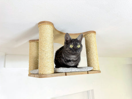 Modern Cat Ceiling Shelf